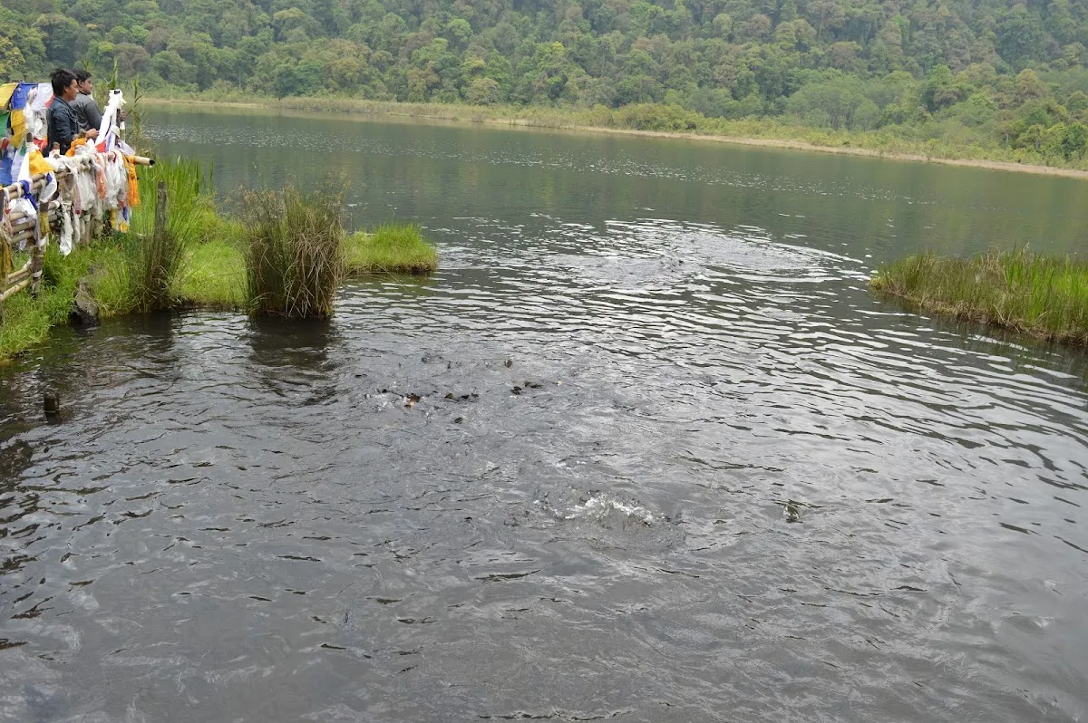 Khecheopalri Lake - photo 3