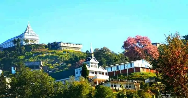 Pfutsero - photo 2
