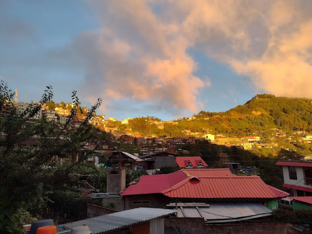 Pfutsero - photo 3