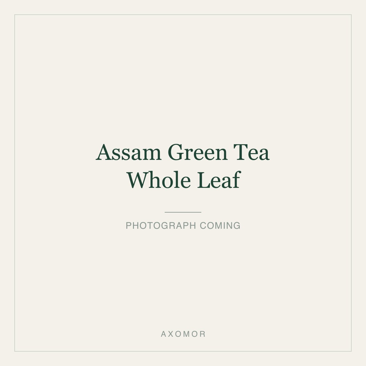 Assam Green Tea, Whole Leaf