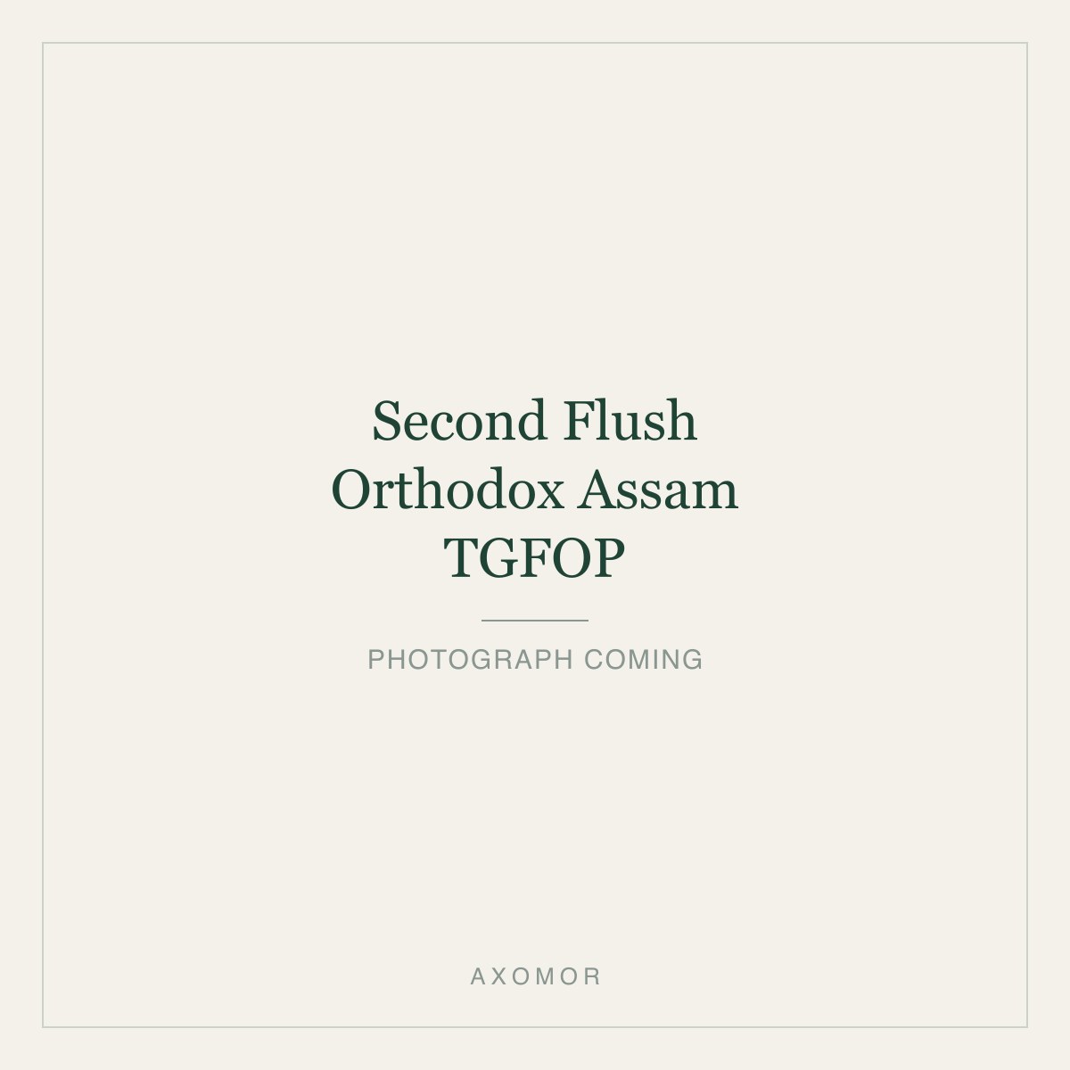 Second Flush Orthodox Assam, TGFOP