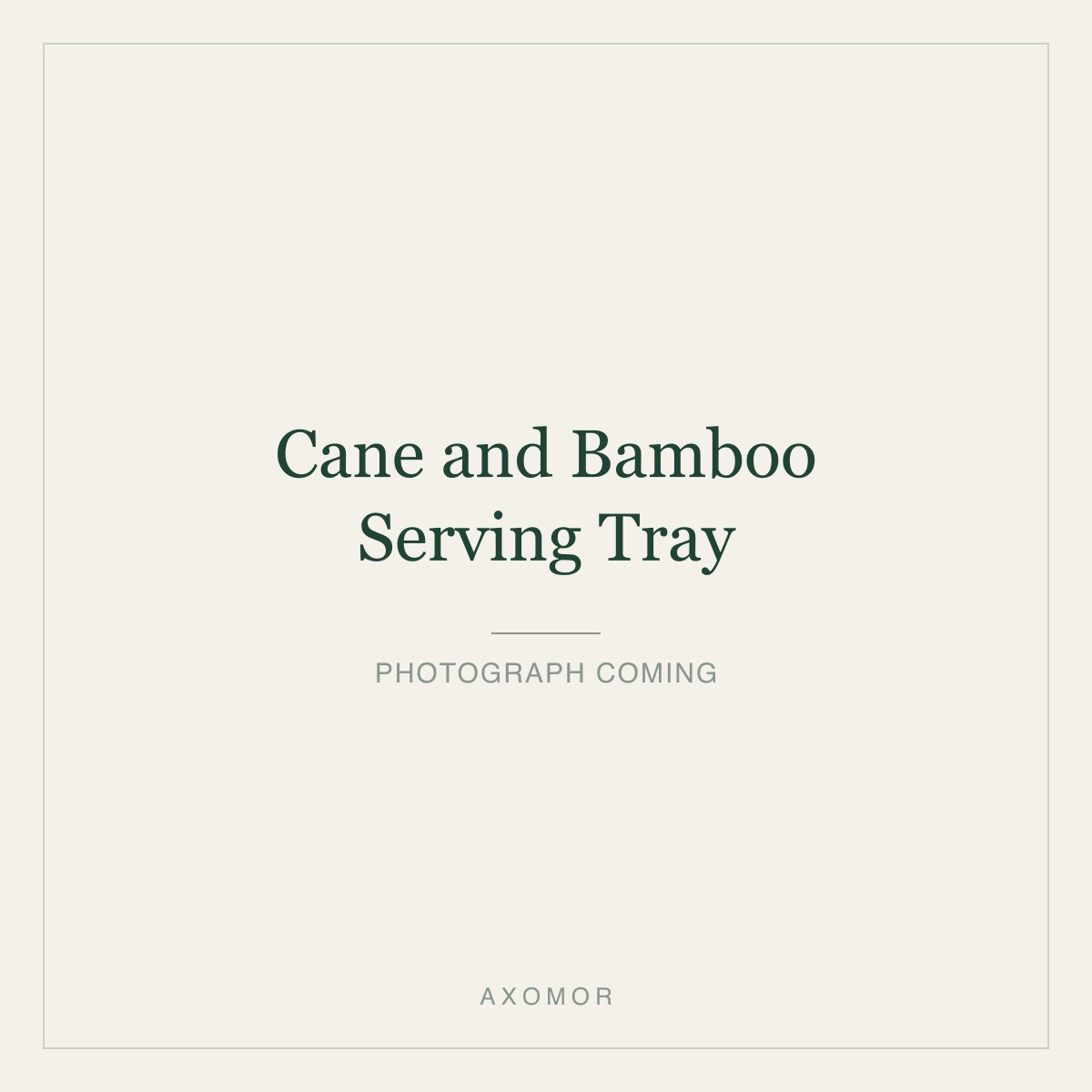 Cane and Bamboo Serving Tray