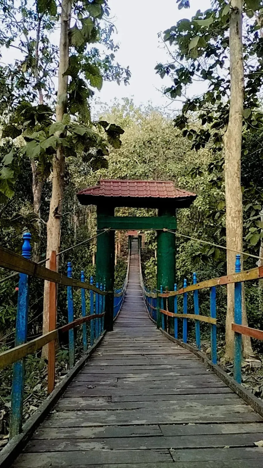 Tepania Eco Park - photo 2