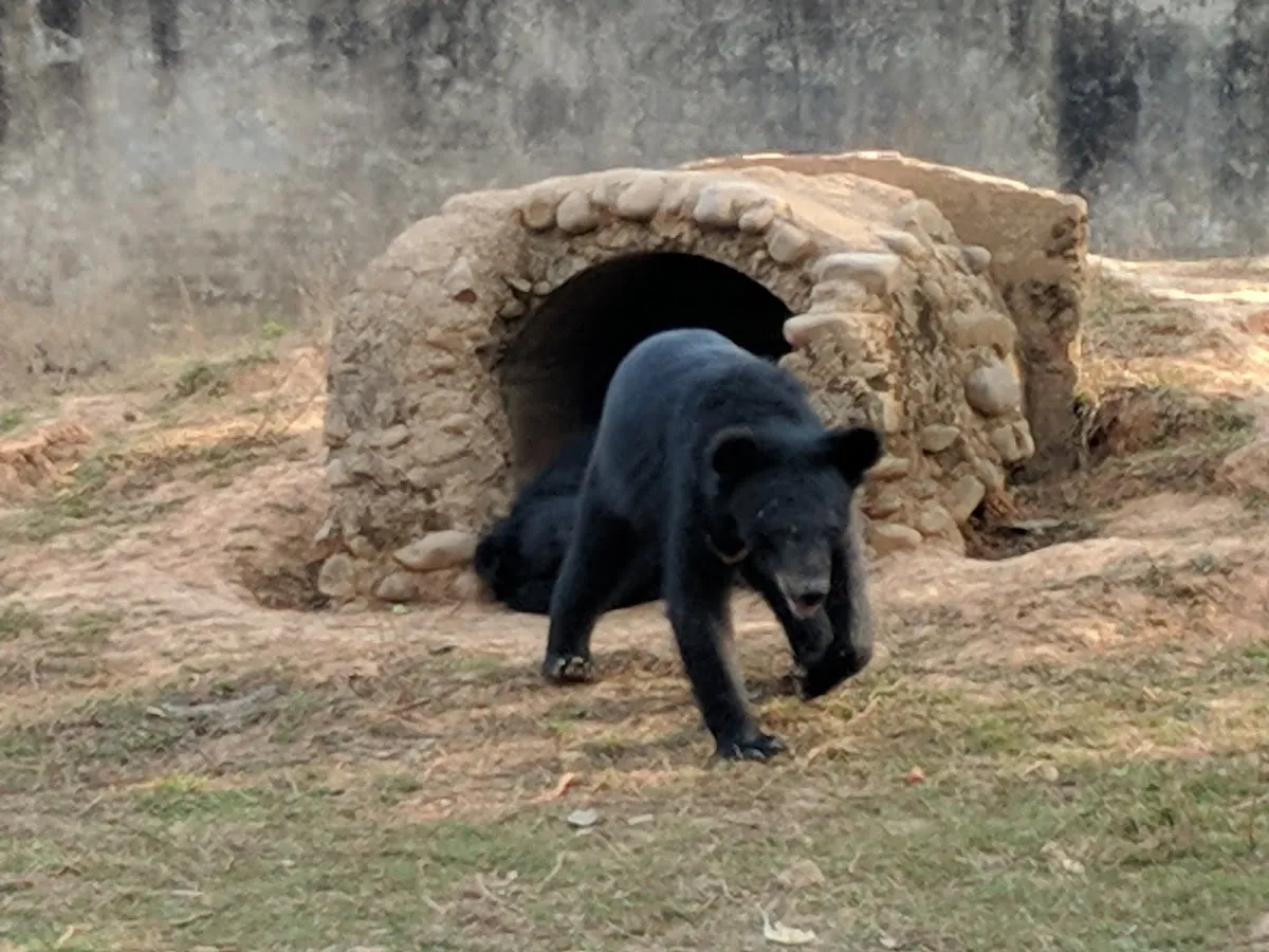 Nagaland Zoological Park - photo 2