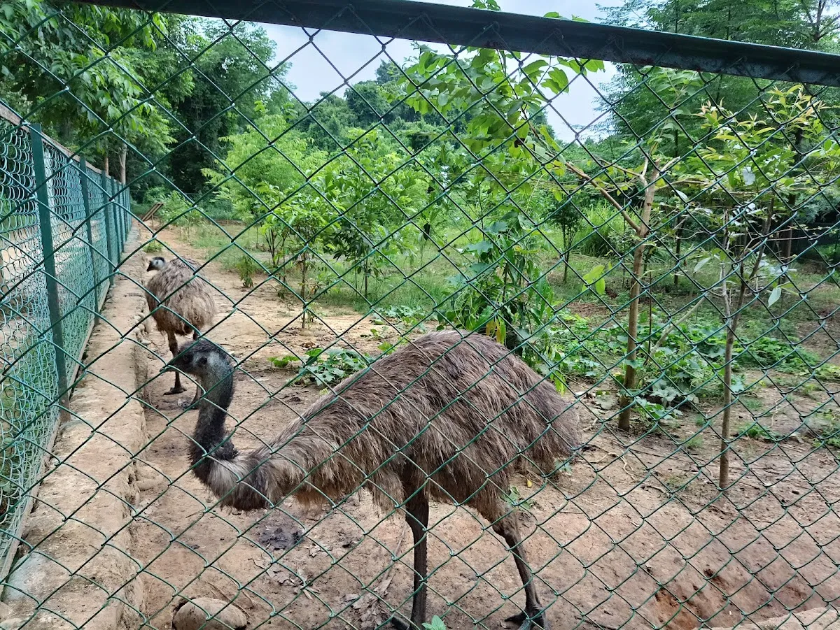 Nagaland Zoological Park - photo 3