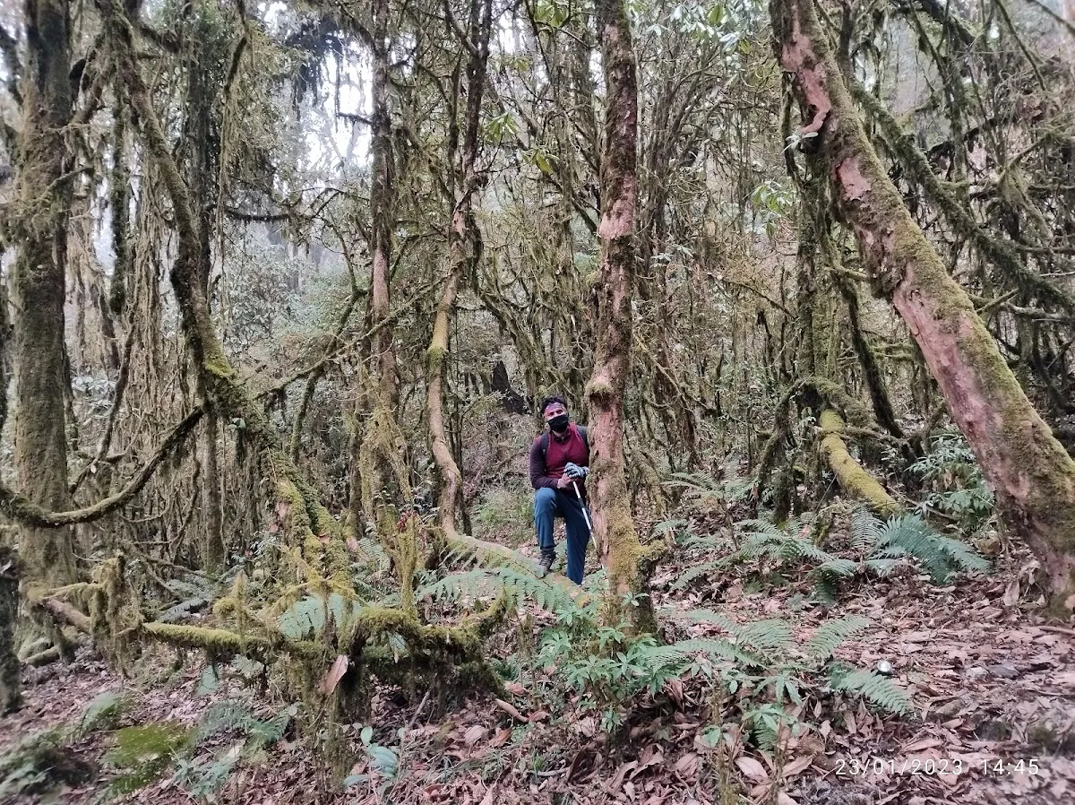 Maenam Wildlife Sanctuary - photo 3