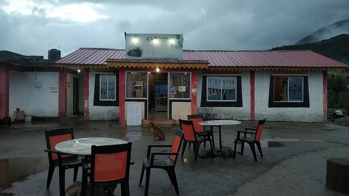 Buddha Coffee House - photo 2