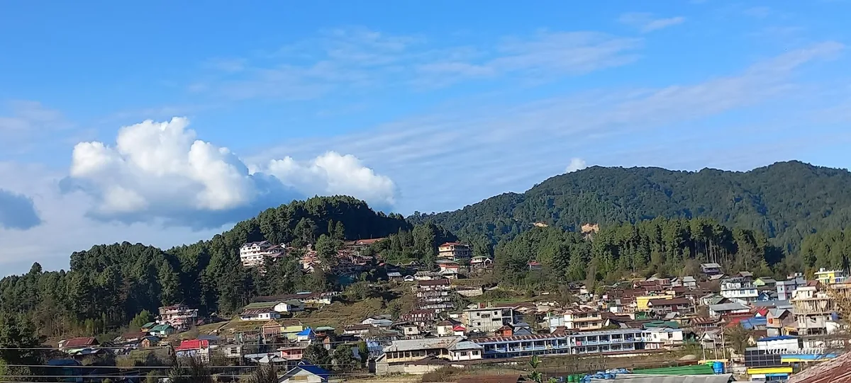 Old ziro - photo 2