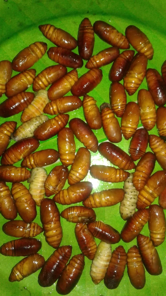 Ahom Ethnic Food (আহোম জনগোষ্ঠীৰ থলুৱা খাদ্য ) - photo 2