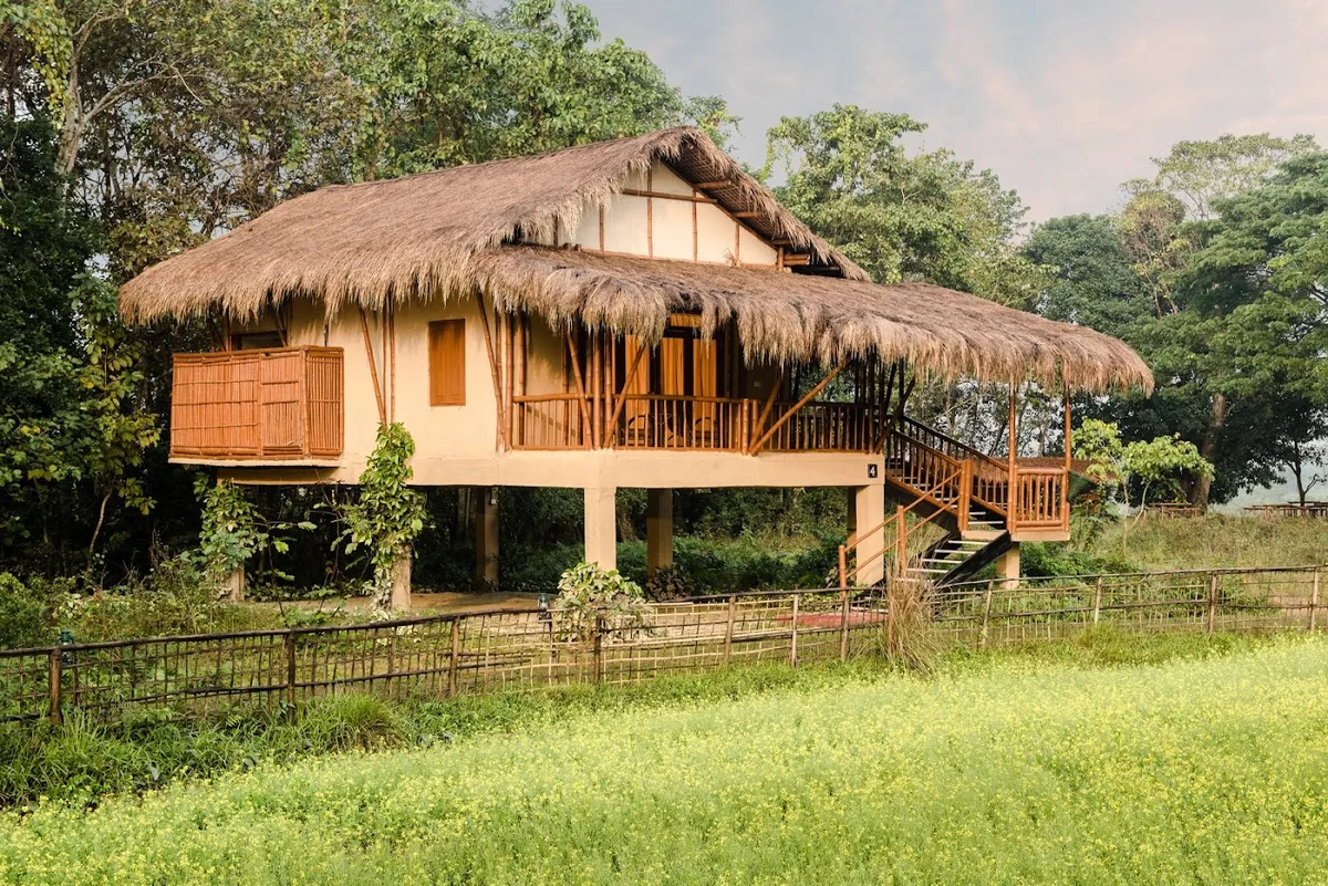 Diphlu River Lodge - Kaziranga