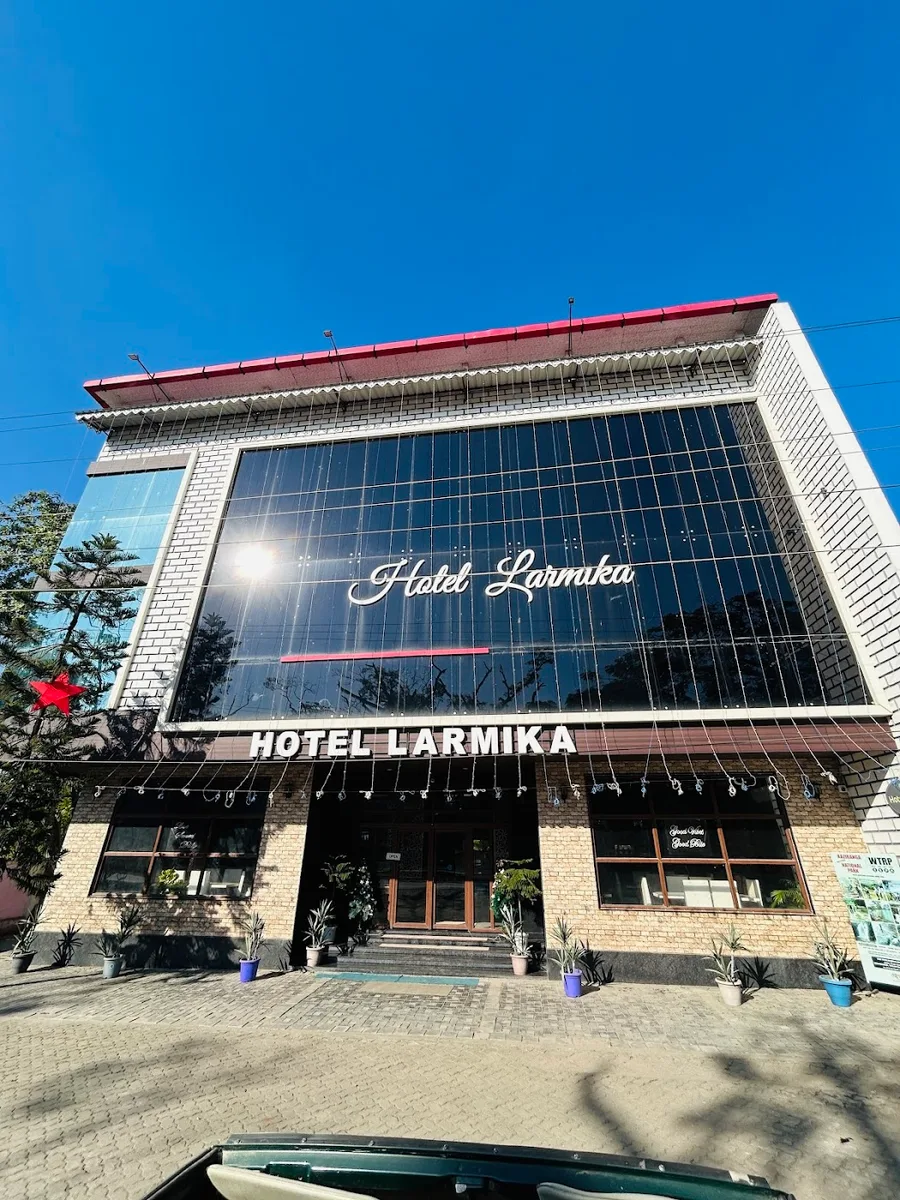 Hotel Larmika - photo 3