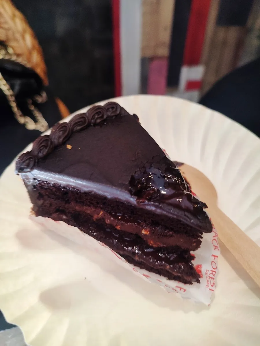 The Black Forest - photo 3