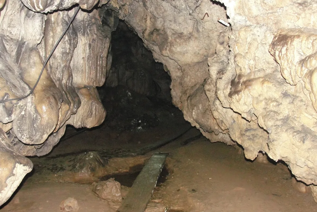 Mawsmai Cave - photo 3