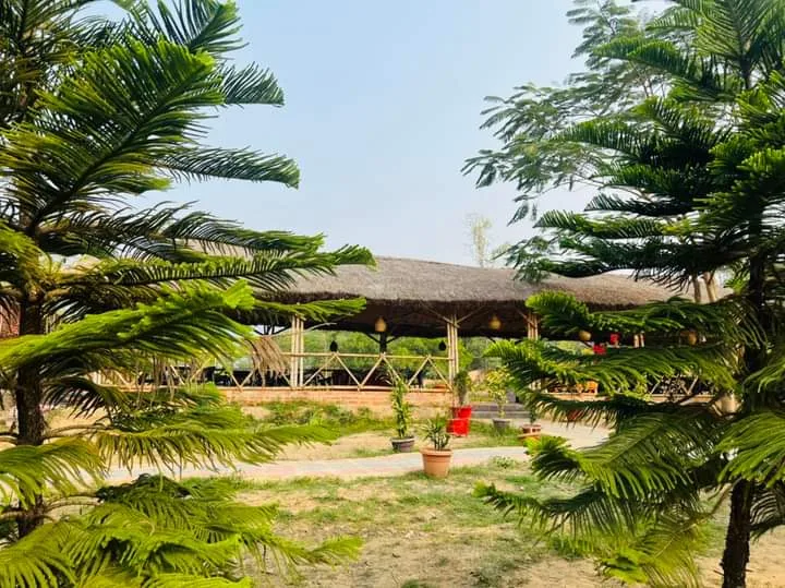 Queen's Garden of Jaintiapur - photo 3