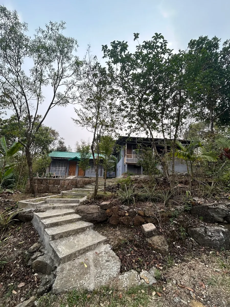 Green Wood Guest House Mawlynnong - photo 3