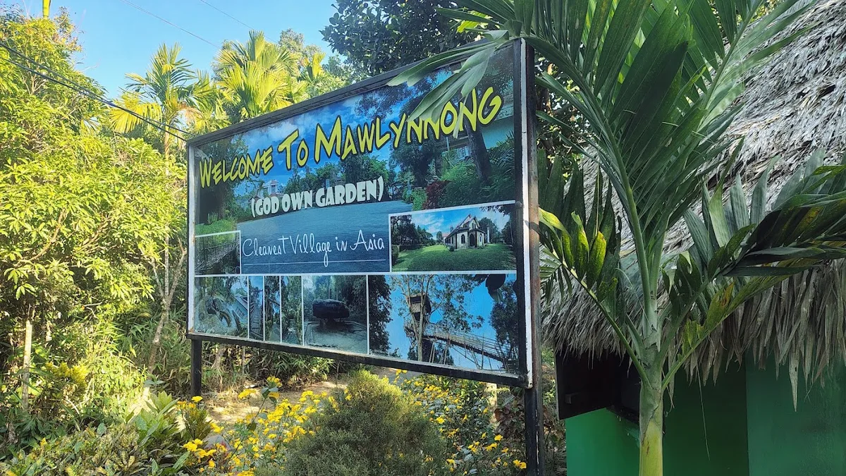 Mawlynnong Tree House - photo 3
