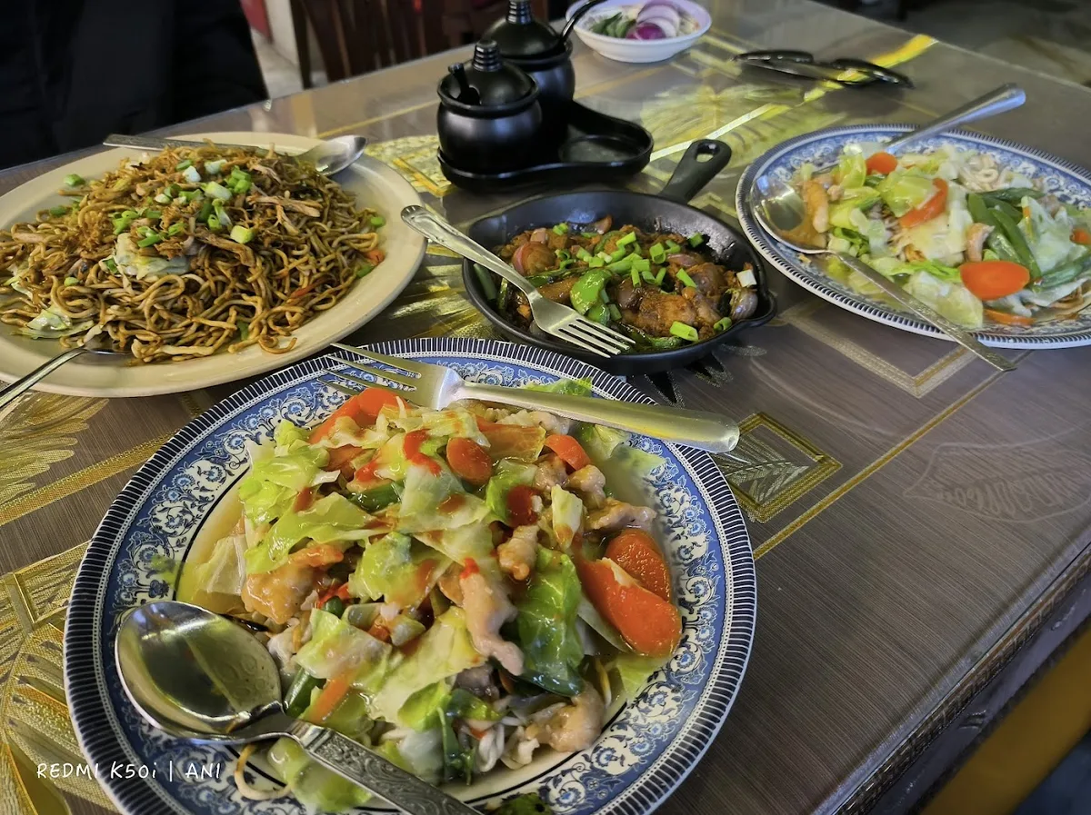 Snow Lion Tibetan Restaurant - photo 2