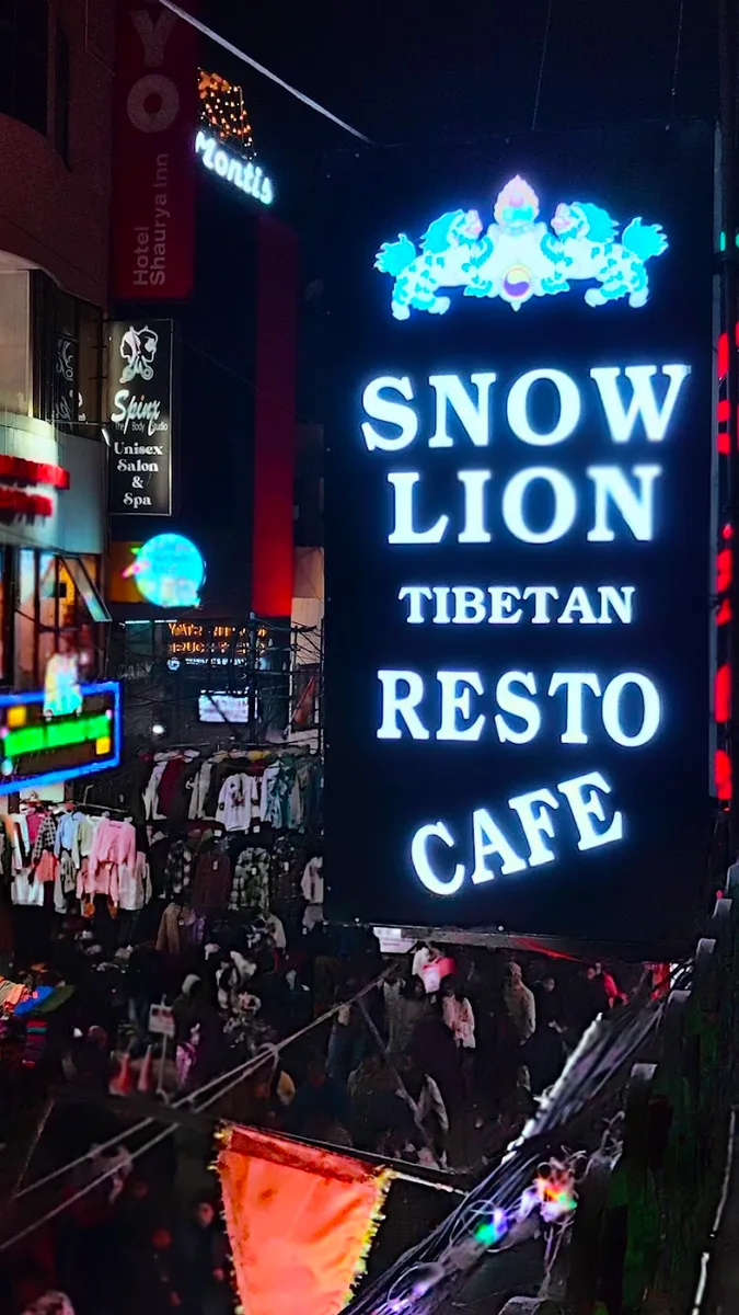 Snow Lion Tibetan Restaurant - photo 3