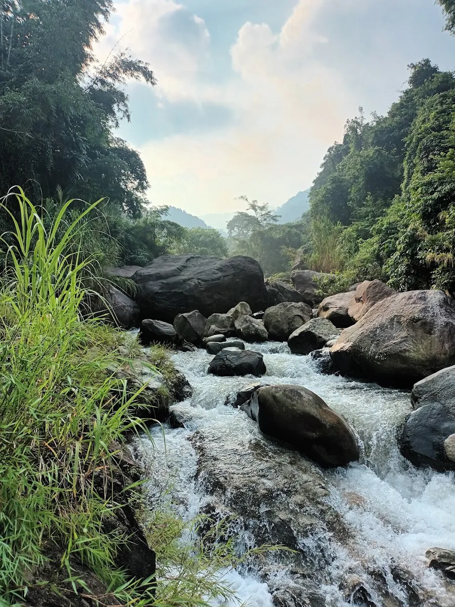 The River Stone Bistro & Homestay - photo 3