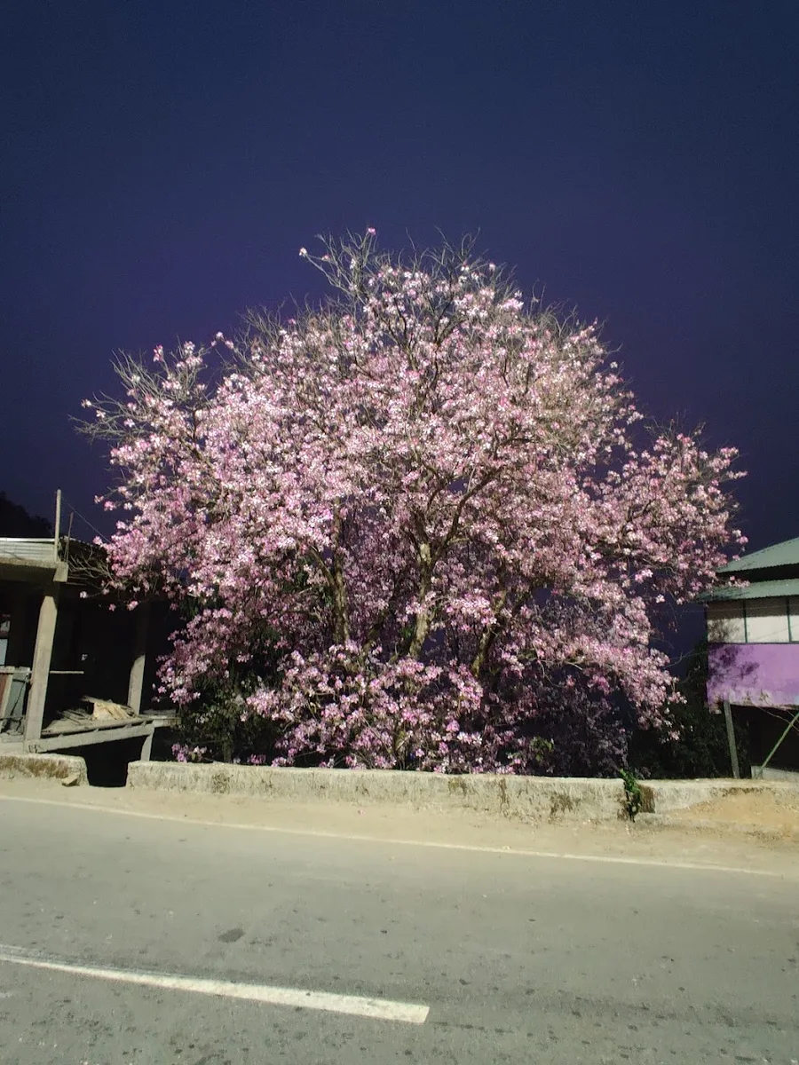 SAHIM HOTEL - photo 3