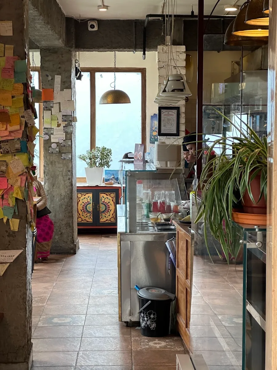 THE LOCAL CAFÉ- Best Cafe/Restaurant/Bakery Shop in Gangtok - Gangtok