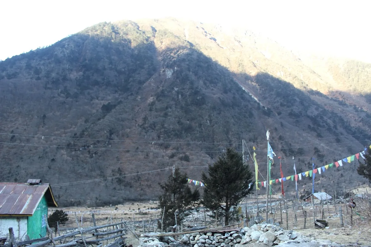 Local Hotel - photo 2
