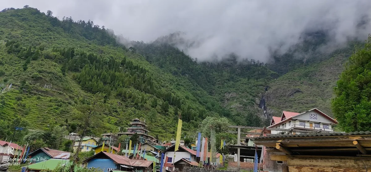 Singring - Lachung