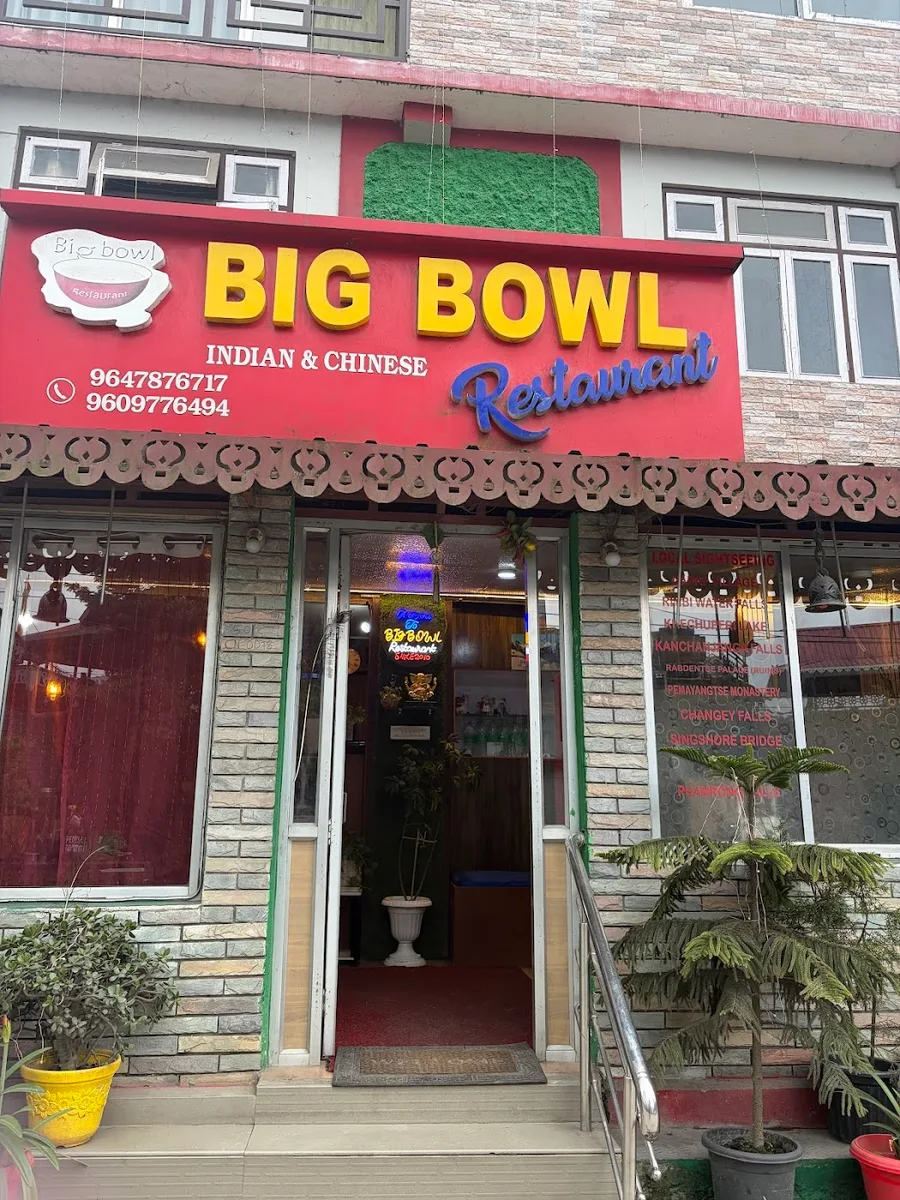 Big Bowl Restaurant - photo 3