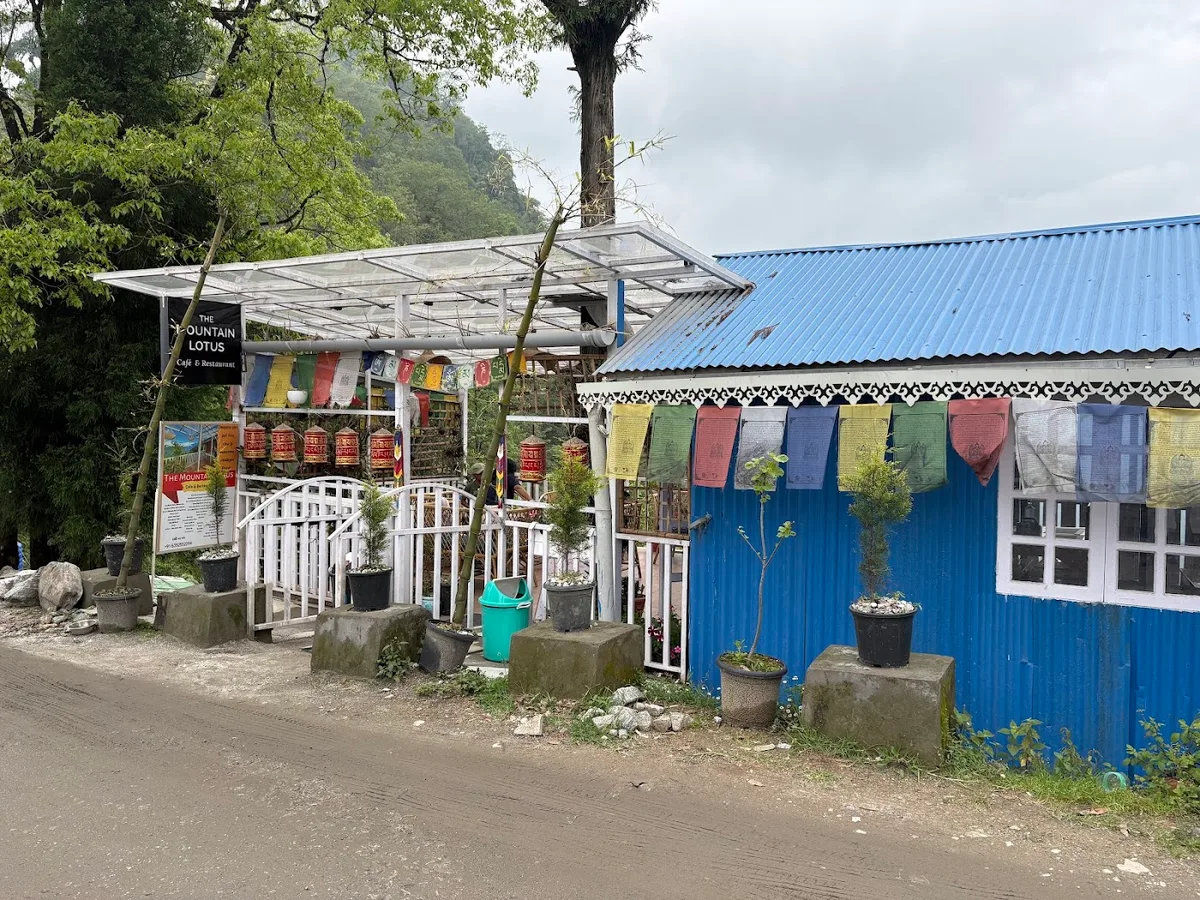 Mountain Lotus Cafe & Restaurant - photo 2