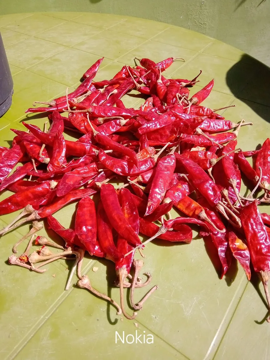 Hotel green park - Ravangla