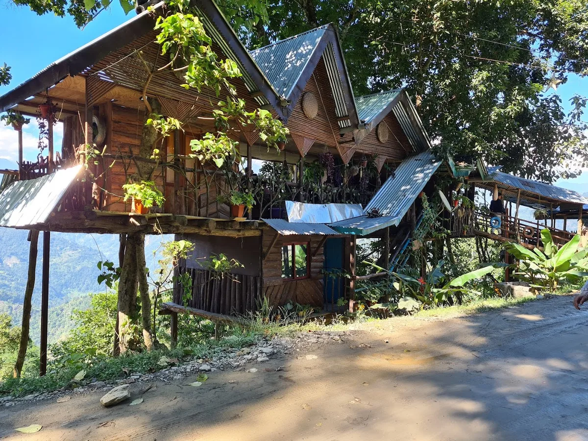 SUMI TREE HOUSE - photo 3