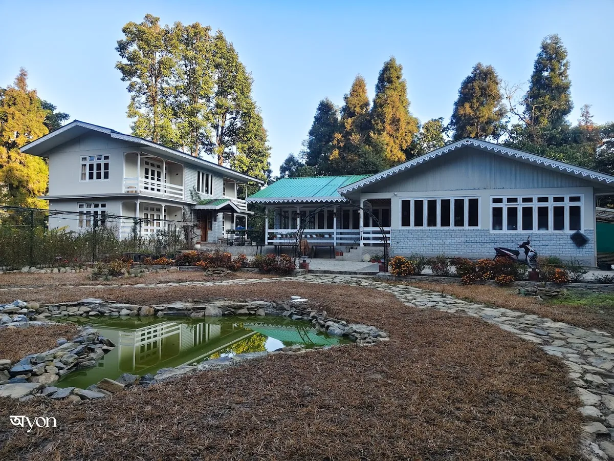 The Alpine Jungle Stay - photo 3