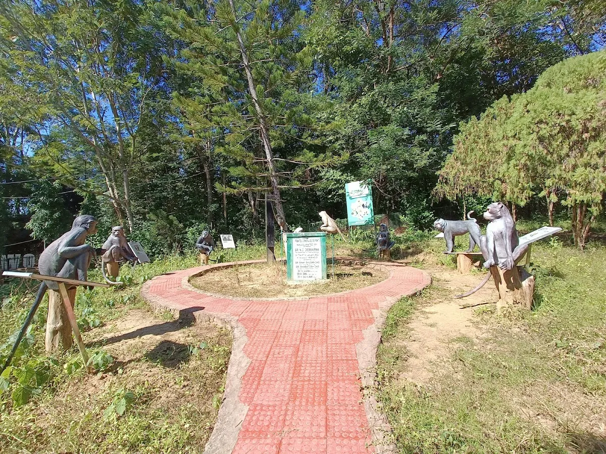 Rowa Wildlife Sanctuary - photo 3