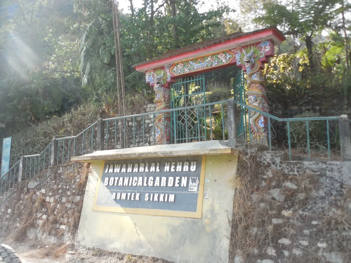 Jawaharlal Nehru Botanical Garden - photo 2