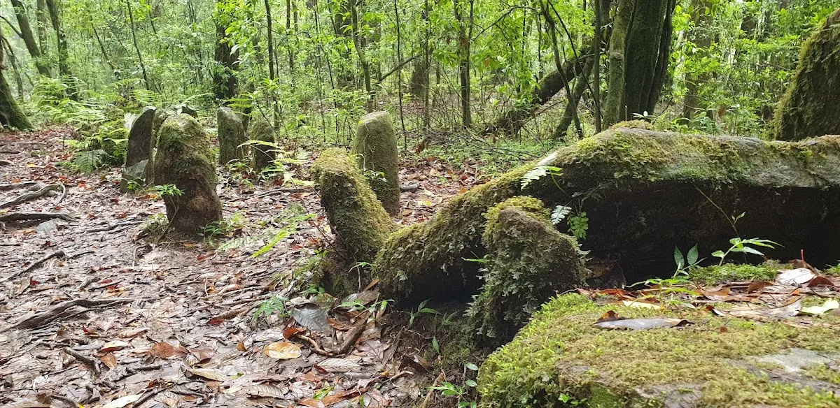 Mawphlang Sacred Grove - photo 2