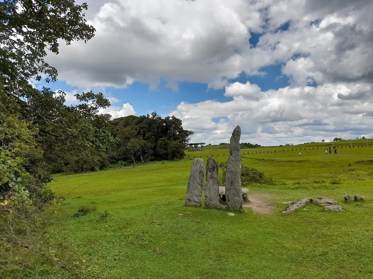 Mawphlang Sacred Grove - photo 3