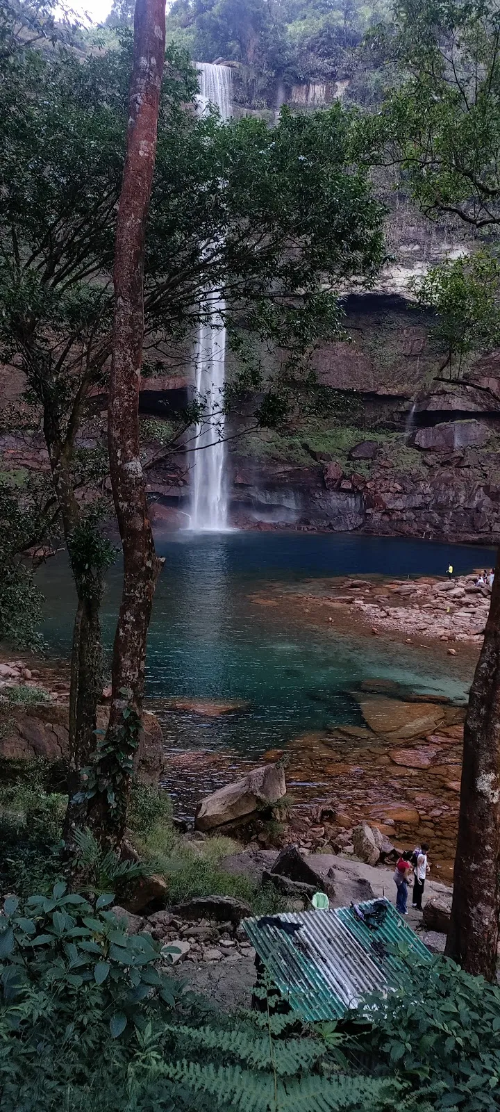Phe Phe Fall - photo 3