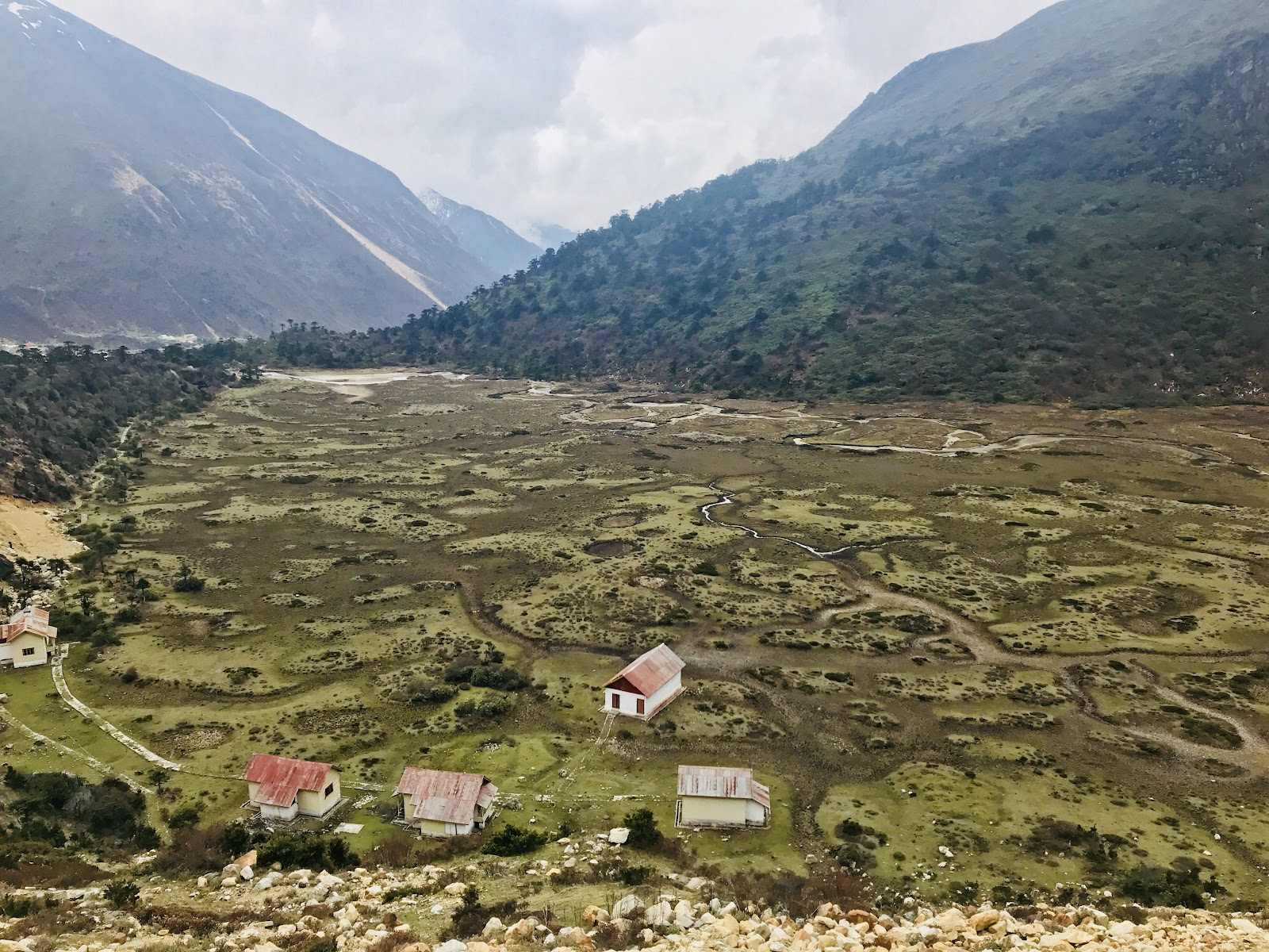 Chopta Valley View Point photo 2