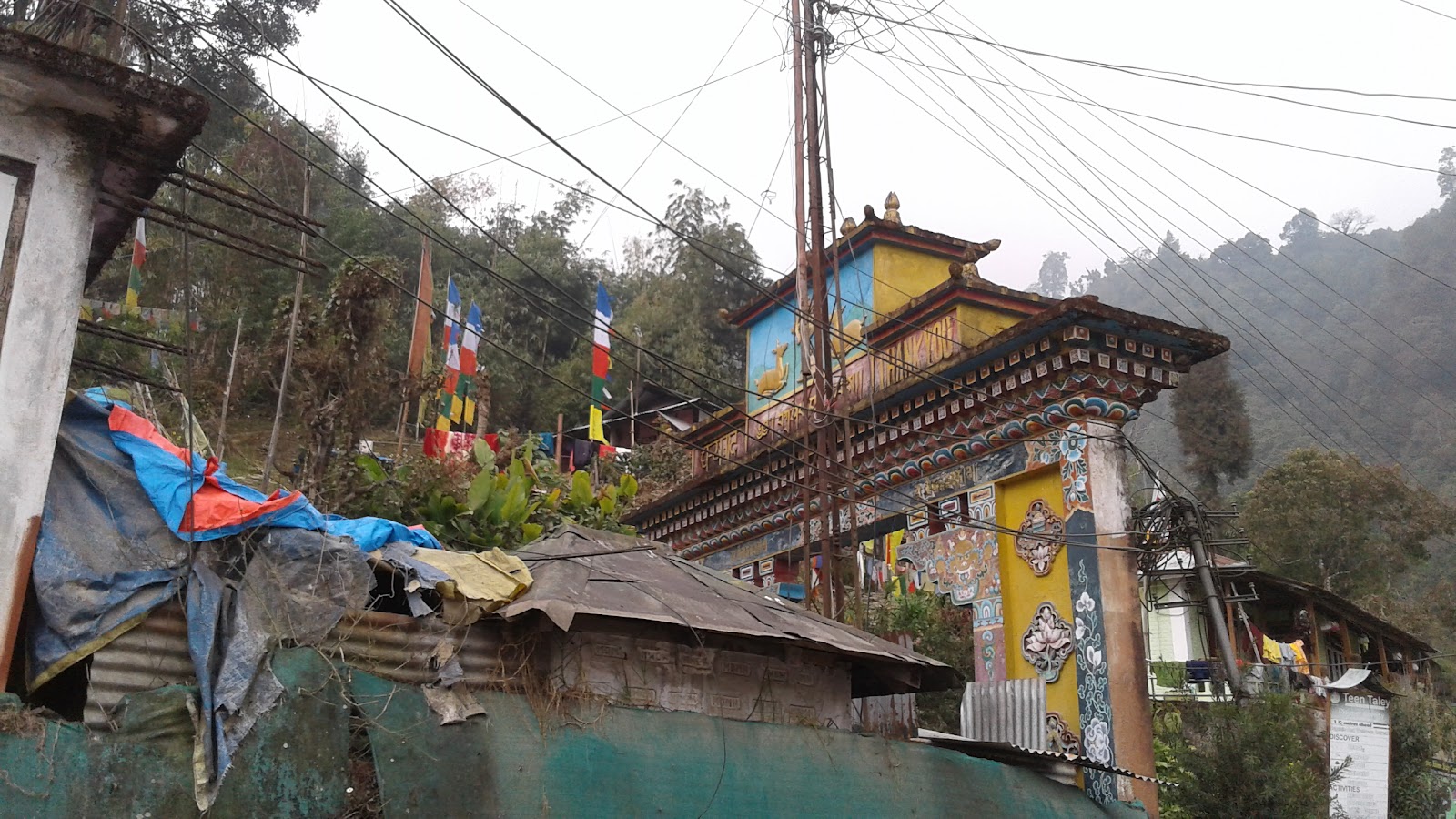 Jawaharlal Nehru Botanical Garden photo 3