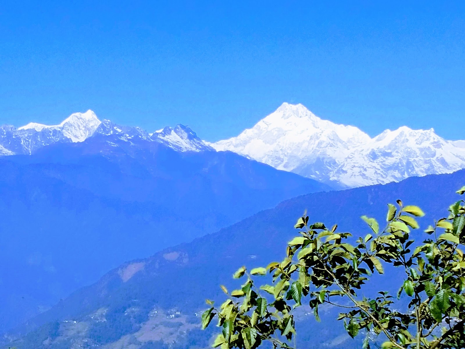 Kanchendzonga national park