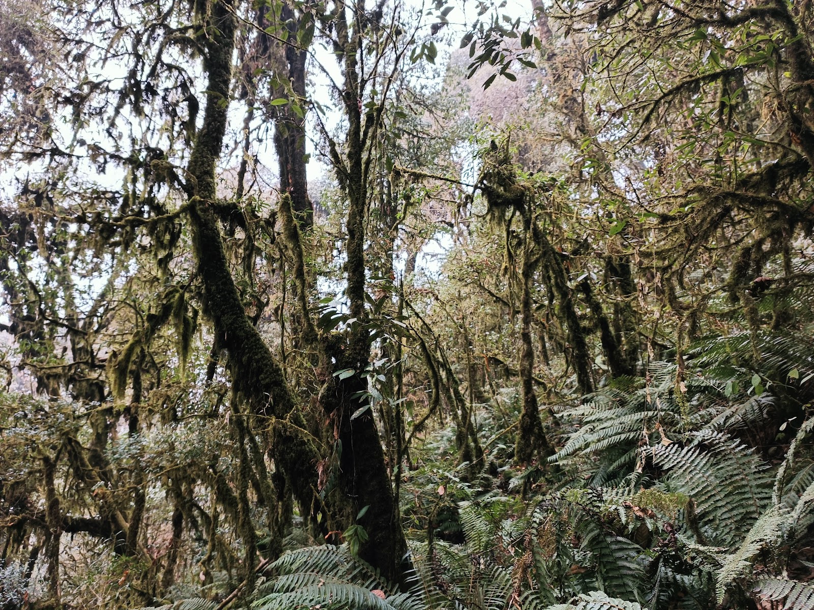 Maenam Wildlife Sanctuary