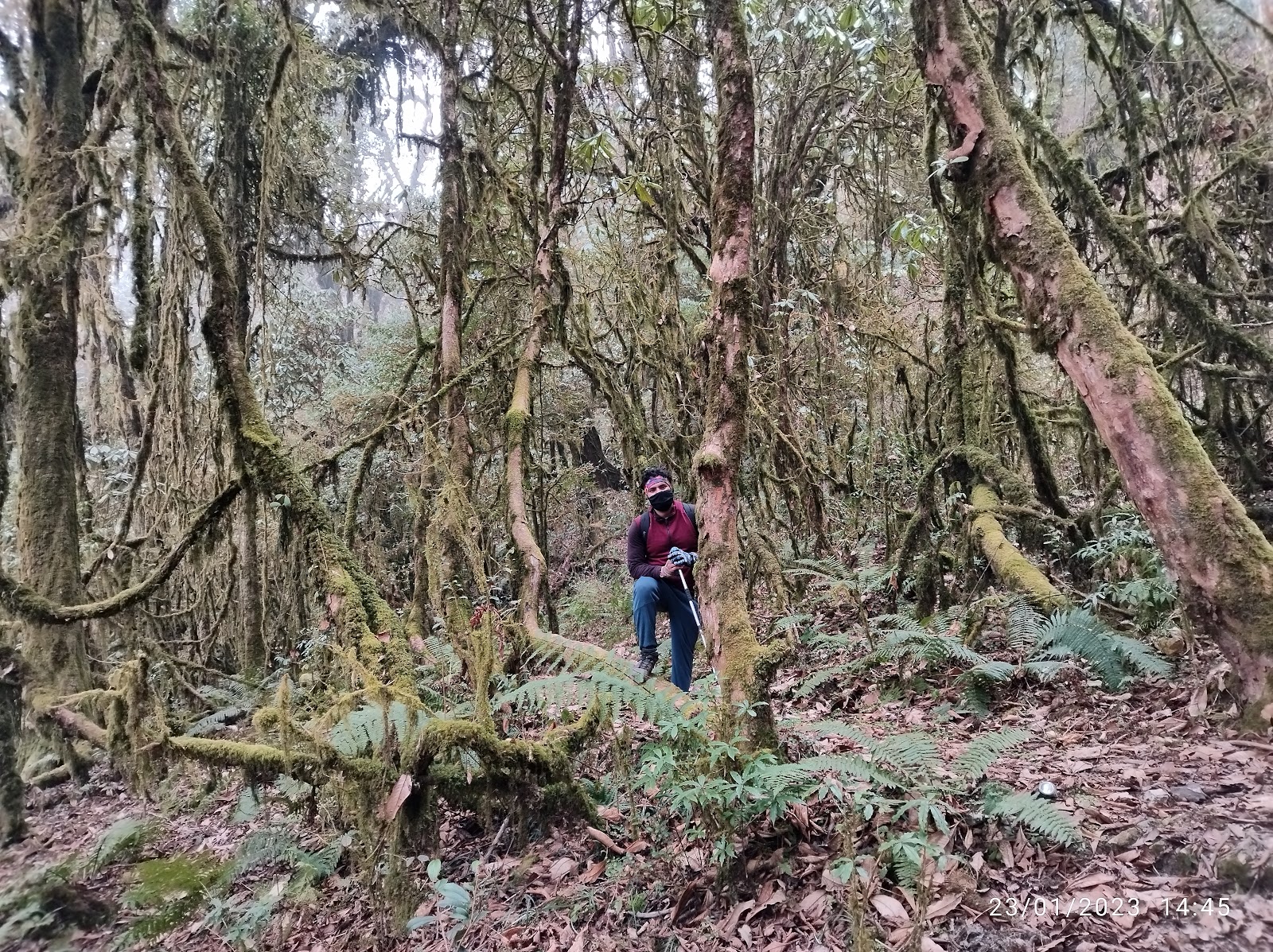 Maenam Wildlife Sanctuary photo 3