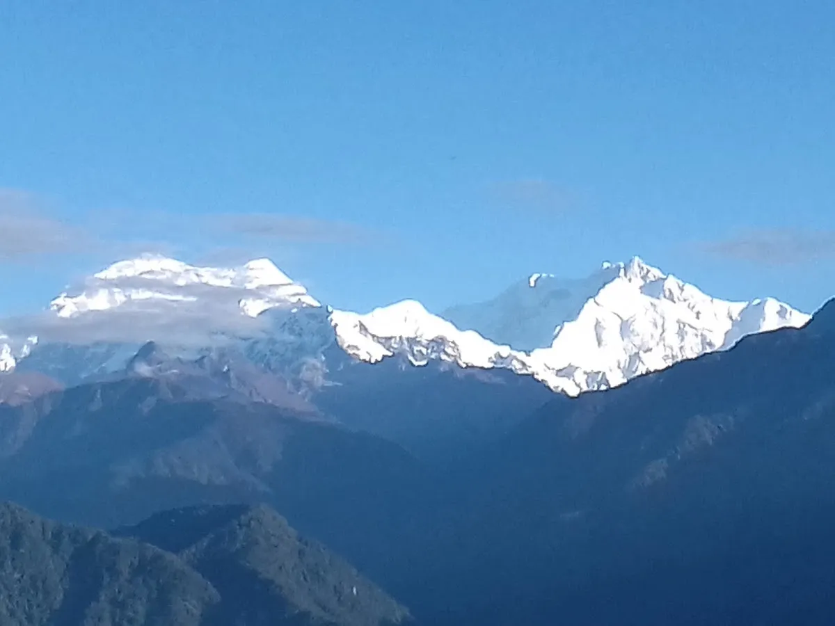 Temí tea garden ,south Sikkim - photo 2