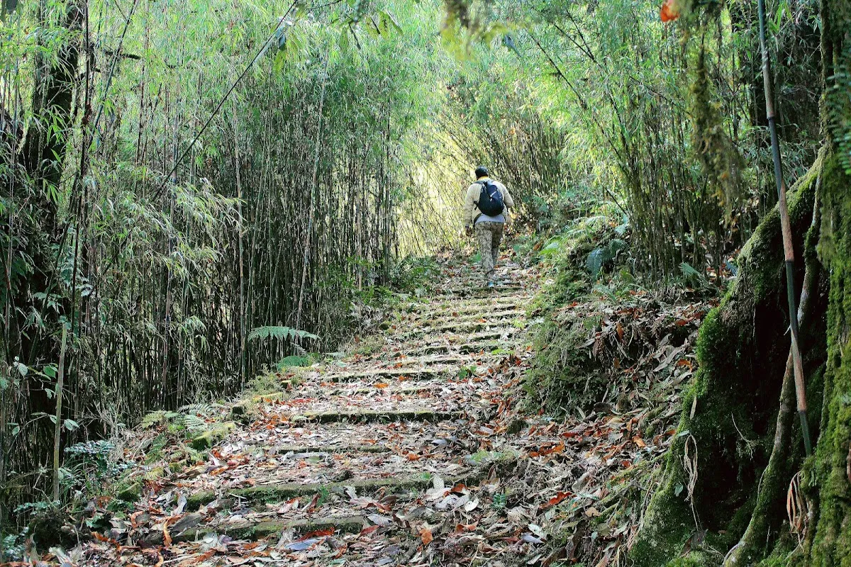 Tendong Hilltop - photo 3