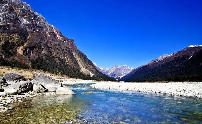 Yumthang Valley (Valley of Flowers) in North Sikkim, rhododendrons in bloom during April and May
