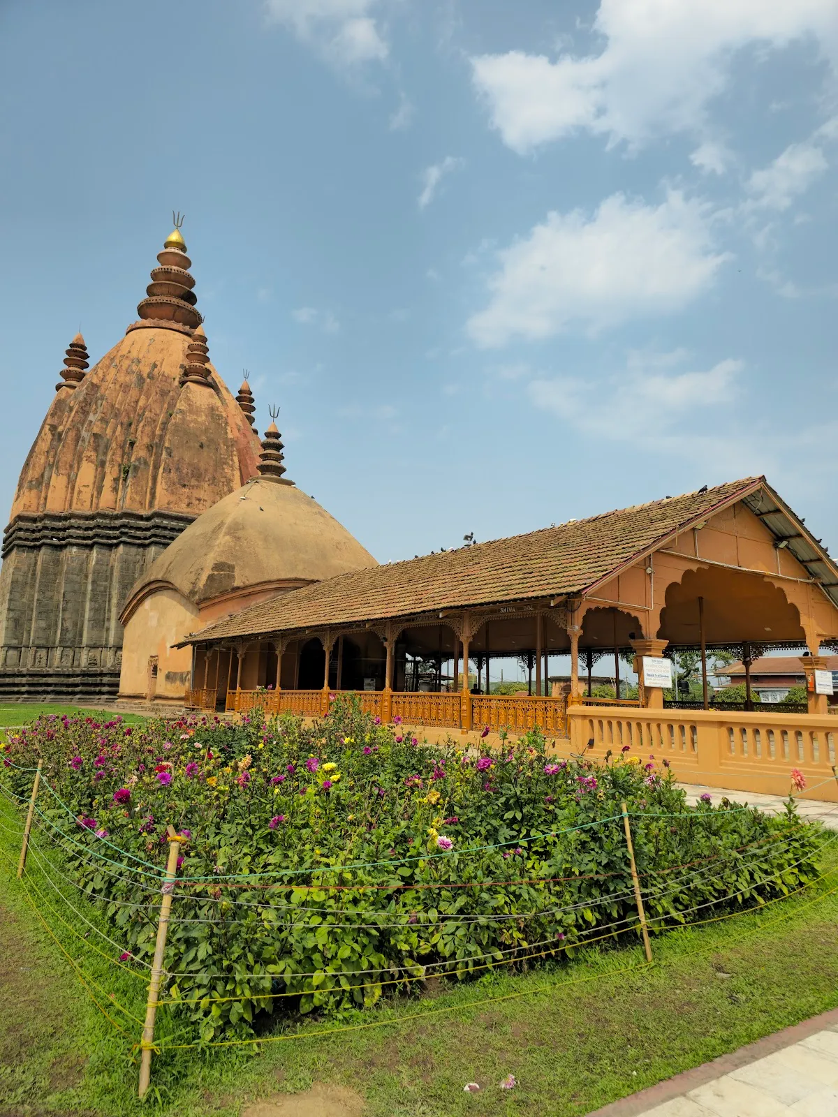 Shiva Dol - photo 2