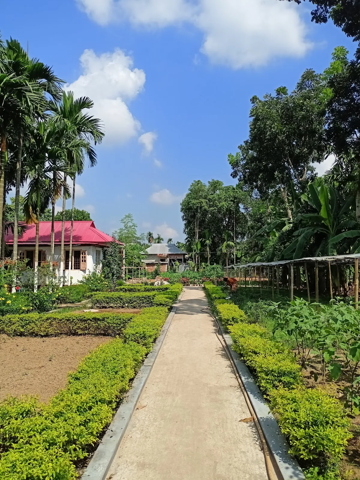 Garden View Agro Resort - photo 3