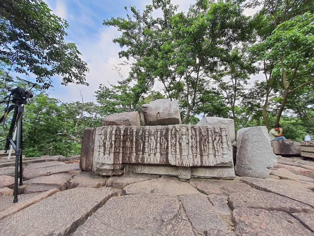 Bamuni Hills - photo 3