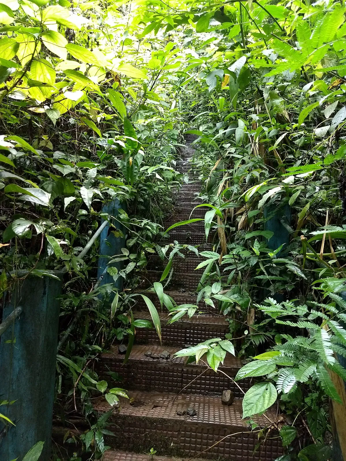 Chawngchilhi Pûk - photo 2