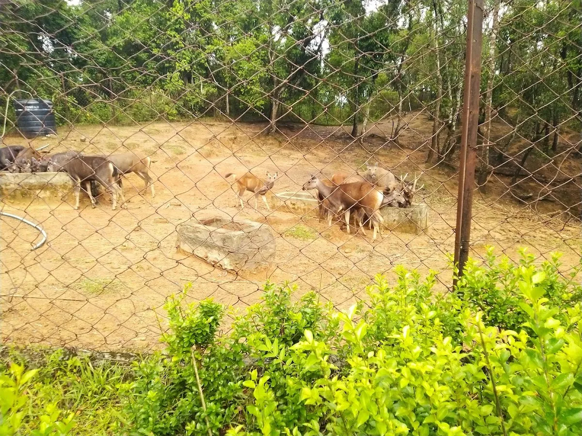 Deer Park, Thenzawl - photo 3
